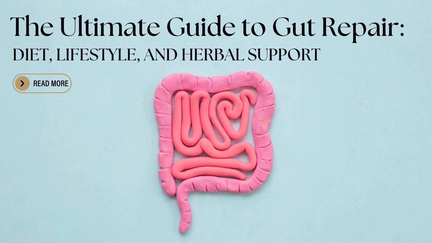 The Ultimate Guide to Gut Repair: Diet, Lifestyle & Herbal Support